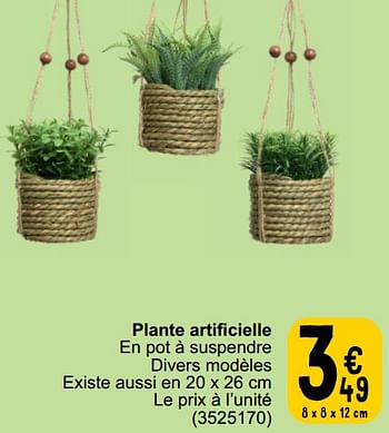 Promotions Plante artificielle - Produit maison - Cora - Valide de 26/03/2024 à 08/04/2024 chez Cora