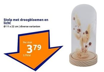 Promoties Stolp met droogbloemen en licht - Huismerk - Action - Geldig van 27/03/2024 tot 02/04/2024 bij Action