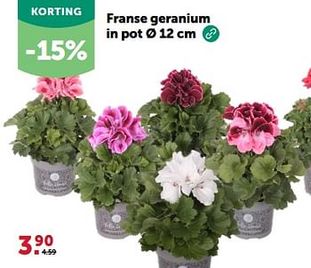 Promoties Franse geranium in pot - Huismerk - Aveve - Geldig van 27/03/2024 tot 07/04/2024 bij Aveve