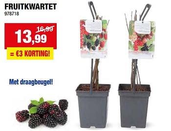 Promoties Fruitkwartet - Huismerk - Hubo  - Geldig van 27/03/2024 tot 07/04/2024 bij Hubo