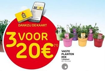 Promoties Vaste planten mix - Huismerk - Brico - Geldig van 27/03/2024 tot 08/04/2024 bij Brico