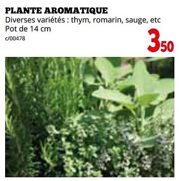 Promoties Plante aromatique - Huismerk - Dema - Geldig van 01/04/2024 tot 28/04/2024 bij Dema