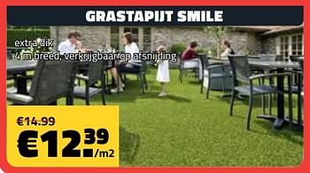 Promoties Grastapijt smile - Huismerk - Bouwcenter Frans Vlaeminck - Geldig van 01/04/2024 tot 30/04/2024 bij Bouwcenter Frans Vlaeminck