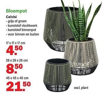 Promoties Bloempot calvisi - Huismerk - Van Cranenbroek - Geldig van 01/04/2024 tot 20/04/2024 bij Van Cranenbroek