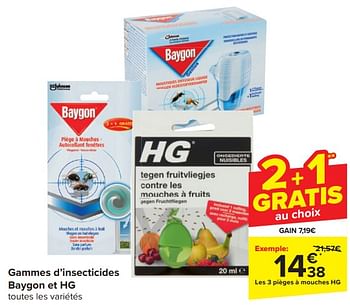 Promotions Gammes d’insecticides baygon et hg - HG - Valide de 03/04/2024 à 09/04/2024 chez Carrefour