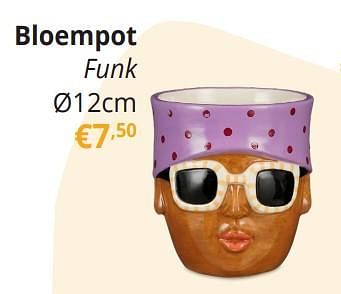 Promoties Bloempot funk - Huismerk - Ygo - Geldig van 29/03/2024 tot 28/04/2024 bij Ygo