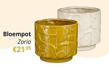 Promotions Bloempot zorio - Produit Maison - Ygo - Valide de 29/03/2024 à 28/04/2024 chez Ygo