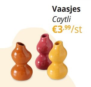 Promotions Vaasjes caytli - Produit Maison - Ygo - Valide de 29/03/2024 à 28/04/2024 chez Ygo