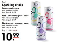 Sparkling drinks lemon mint apple-Soof