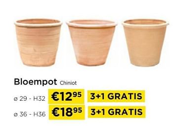 Promotions Bloempot chiniot - Produit maison - Molecule - Valide de 01/04/2024 à 30/04/2024 chez Molecule