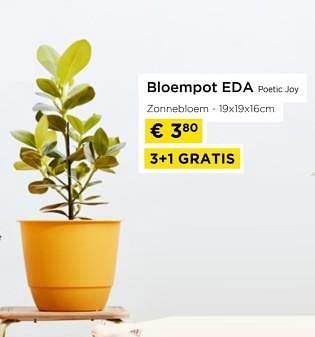 Promoties Bloempot eda poetic joy - EDA - Geldig van 01/04/2024 tot 30/04/2024 bij Molecule