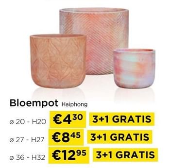 Promoties Bloempot haiphong - Huismerk - Molecule - Geldig van 01/04/2024 tot 30/04/2024 bij Molecule