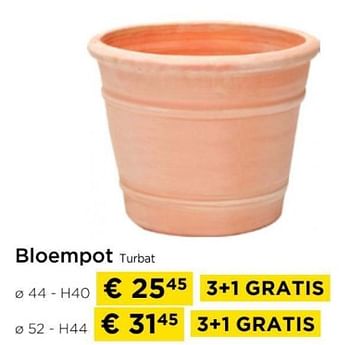Promoties Bloempot turbat - Huismerk - Molecule - Geldig van 01/04/2024 tot 30/04/2024 bij Molecule