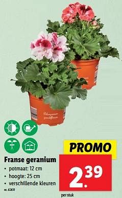Promoties Franse geranium - Huismerk - Lidl - Geldig van 10/04/2024 tot 16/04/2024 bij Lidl