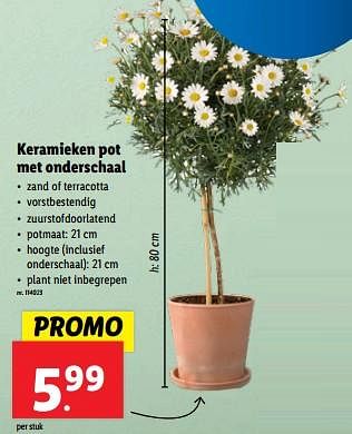 Promoties Keramieken pot met onderschaal - Huismerk - Lidl - Geldig van 10/04/2024 tot 16/04/2024 bij Lidl