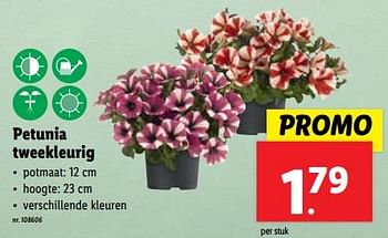 Promoties Petunia tweekleurig - Huismerk - Lidl - Geldig van 10/04/2024 tot 16/04/2024 bij Lidl