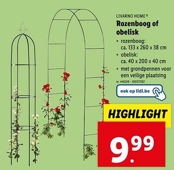 Promoties Rozenboog of obelisk - Livarno - Geldig van 10/04/2024 tot 16/04/2024 bij Lidl