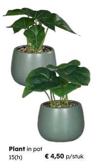 Plant in pot-Huismerk - Europoint