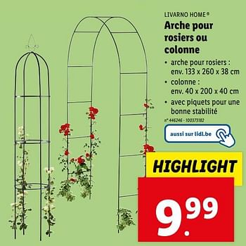 Promotions Arche pour rosiers ou colonne - Livarno - Valide de 10/04/2024 à 16/04/2024 chez Lidl