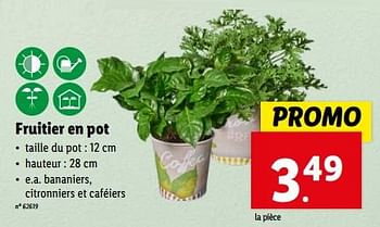 Promotions Fruitier en pot - Produit maison - Lidl - Valide de 10/04/2024 à 16/04/2024 chez Lidl