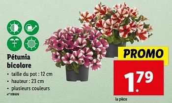 Promoties Pétunia bicolore - Huismerk - Lidl - Geldig van 10/04/2024 tot 16/04/2024 bij Lidl
