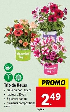 Promoties Trio de fleurs - Huismerk - Lidl - Geldig van 10/04/2024 tot 16/04/2024 bij Lidl