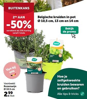 Promotions Belgische kruiden in pot rozemarijn - Produit maison - Aveve - Valide de 10/04/2024 à 21/04/2024 chez Aveve