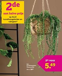Kunsthangplant ficus pumila-Huismerk - Leen Bakker