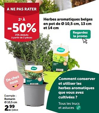 Promoties Herbes aromatiques belges en pot - Huismerk - Aveve - Geldig van 10/04/2024 tot 21/04/2024 bij Aveve