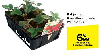 Promoties Bakje met 6 aardbeienplanten - Huismerk - Carrefour  - Geldig van 10/04/2024 tot 22/04/2024 bij Carrefour