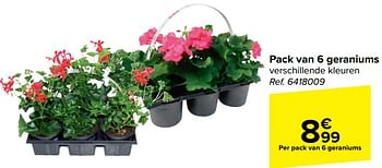 Promotions Pack van 6 geraniums - Produit maison - Carrefour  - Valide de 10/04/2024 à 22/04/2024 chez Carrefour