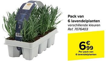 Promotions Pack van 6 lavendelplanten - Produit maison - Carrefour  - Valide de 10/04/2024 à 22/04/2024 chez Carrefour