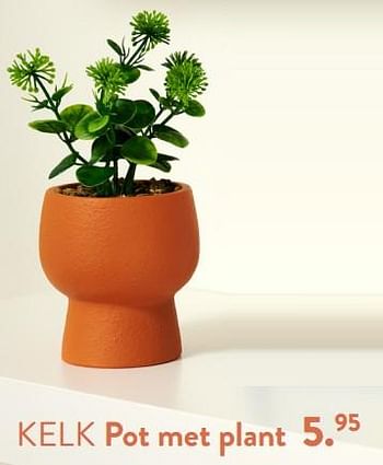 Promoties Kelk pot met plant - Huismerk - Casa - Geldig van 28/03/2024 tot 01/05/2024 bij Casa