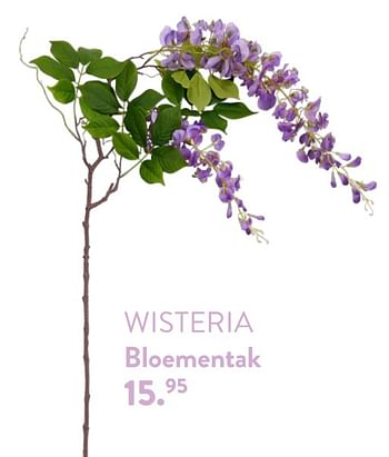 Promoties Wisteria bloementak - Huismerk - Casa - Geldig van 28/03/2024 tot 01/05/2024 bij Casa