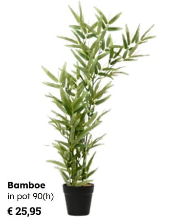 Promotions Bamboe in pot - Produit Maison - Europoint - Valide de 25/03/2024 à 12/05/2024 chez Europoint