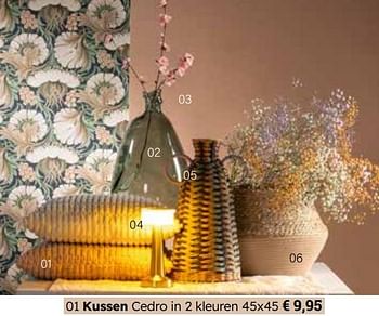 Promotions Kussen cedro in 2 kleuren - Produit Maison - Europoint - Valide de 25/03/2024 à 12/05/2024 chez Europoint