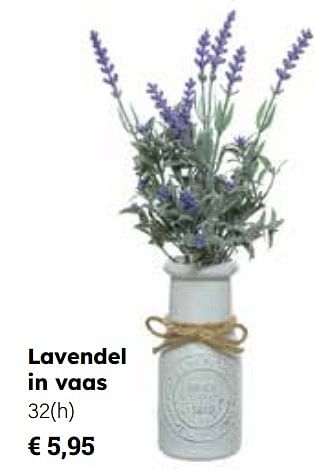 Promotions Lavendel in vaas - Produit Maison - Europoint - Valide de 25/03/2024 à 12/05/2024 chez Europoint