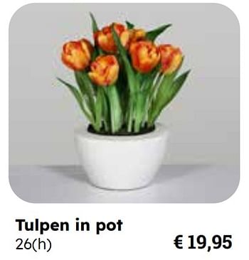 Promotions Tulpen in pot - Produit Maison - Europoint - Valide de 25/03/2024 à 12/05/2024 chez Europoint