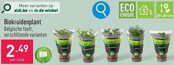 Promoties Biokruidenplant - Huismerk - Aldi - Geldig van 31/03/2024 tot 07/04/2024 bij Aldi