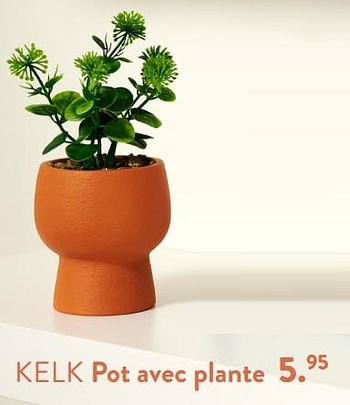 Promoties Kelk pot avec plante - Huismerk - Casa - Geldig van 28/03/2024 tot 01/05/2024 bij Casa