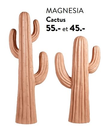 Promotions Magnesia cactus - Produit maison - Casa - Valide de 28/03/2024 à 01/05/2024 chez Casa