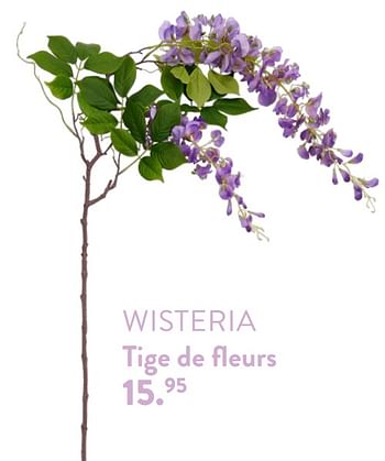 Promotions Wisteria tige de fleurs - Produit maison - Casa - Valide de 28/03/2024 à 01/05/2024 chez Casa