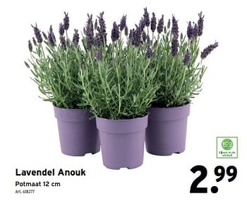 Promoties Lavendel anouk - Huismerk - Gamma - Geldig van 10/04/2024 tot 23/04/2024 bij Gamma