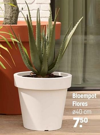 Promotions Bloempot flores - Produit maison - Kwantum - Valide de 15/04/2024 à 05/05/2024 chez Kwantum