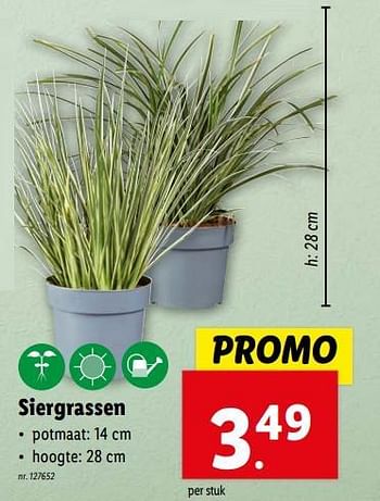 Promoties Siergrassen - Huismerk - Lidl - Geldig van 17/04/2024 tot 23/04/2024 bij Lidl