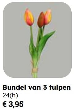 Promotions Bundel van 3 tulpen - Produit Maison - Europoint - Valide de 25/03/2024 à 12/05/2024 chez Europoint
