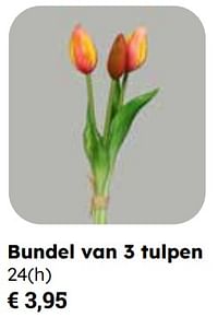 Bundel van 3 tulpen-Huismerk - Europoint