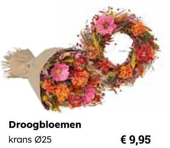 Promoties Droogbloemen krans - Huismerk - Europoint - Geldig van 25/03/2024 tot 12/05/2024 bij Europoint