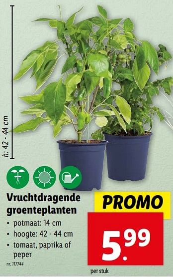Promoties Vruchtdragende groenteplanten - Huismerk - Lidl - Geldig van 17/04/2024 tot 23/04/2024 bij Lidl