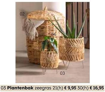 Promotions Plantenbak zeegras - Produit Maison - Europoint - Valide de 25/03/2024 à 12/05/2024 chez Europoint